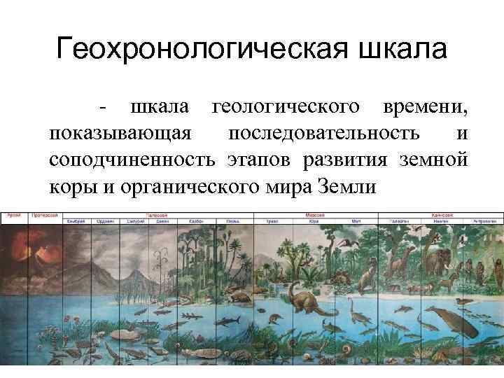 Геохронологическая шкала - шкала геологического времени, показывающая последовательность и соподчиненность этапов развития земной коры