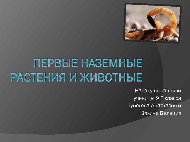 ПЕРВЫЕ НАЗЕМНЫЕ РАСТЕНИЯ И ЖИВОТНЫЕ Работу выполняли ученицы 9 Г класса Лунегова Анастасия и