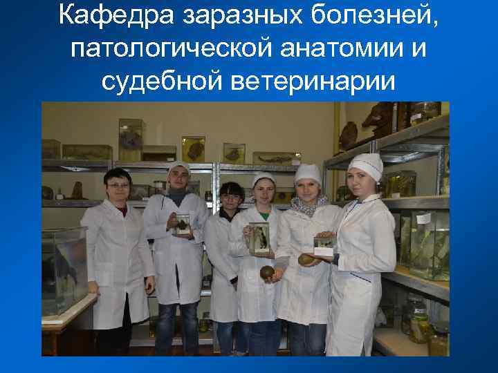 Кафедра заразных болезней, патологической анатомии и судебной ветеринарии 