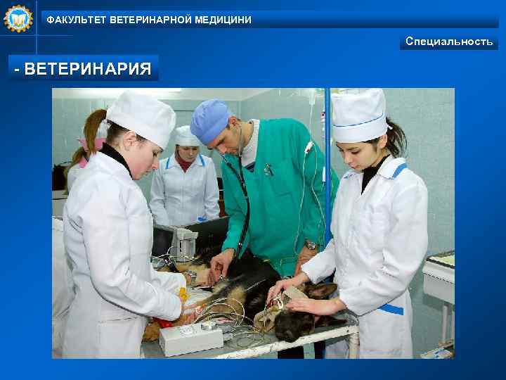 ФАКУЛЬТЕТ ВЕТЕРИНАРНОЙ МЕДИЦИНИ Специальность - ВЕТЕРИНАРИЯ 