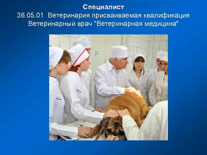 Специалист 36. 05. 01 Ветеринария присваиваемая квалификация Ветеринарный врач 
