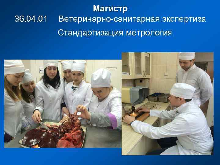 36. 04. 01 Магистр Ветеринарно-санитарная экспертиза Стандартизация метрология 