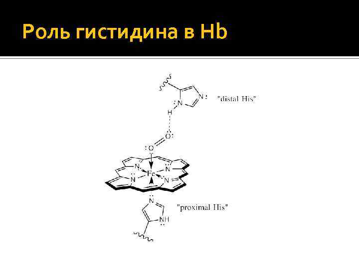 Роль гистидина в Hb 