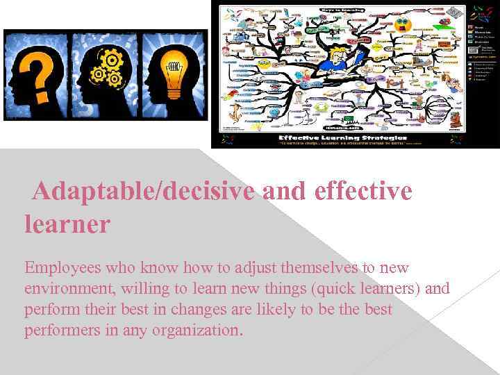 Adaptable/decisive and effective learner Employees who know how to adjust themselves to new environment,