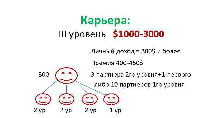 Карьера: III уровень $1000 -3000 Личный доход = 300$ и более Премия 400 -450$