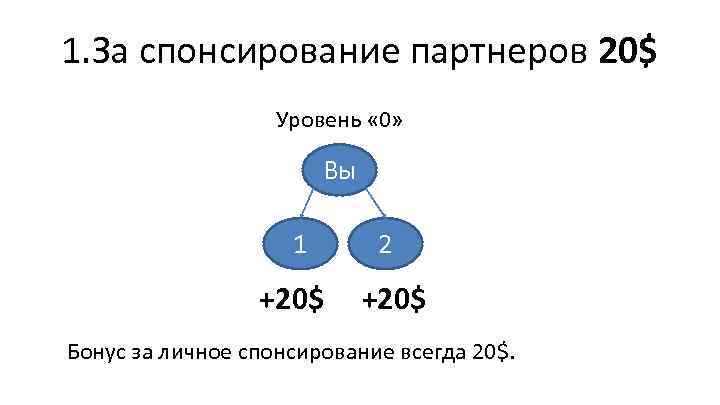 1. За спонсирование партнеров 20$ Уровень « 0» Вы 1 +20$ 2 +20$ Бонус