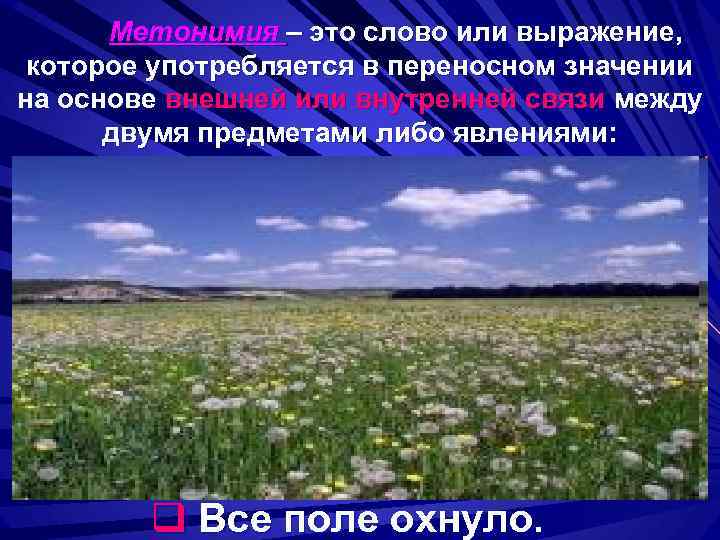 Метонимия – это слово или выражение, которое употребляется в переносном значении на основе внешней