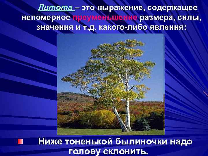 Литота – это выражение, содержащее непомерное преуменьшение размера, силы, значения и т. д. какого-либо