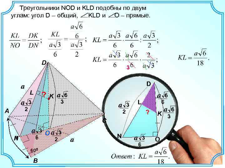  Треугольники NOD и KLD подобны по двум углам: угол D – общий, KLD