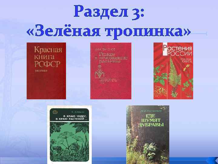 Раздел 3: «Зелёная тропинка» 