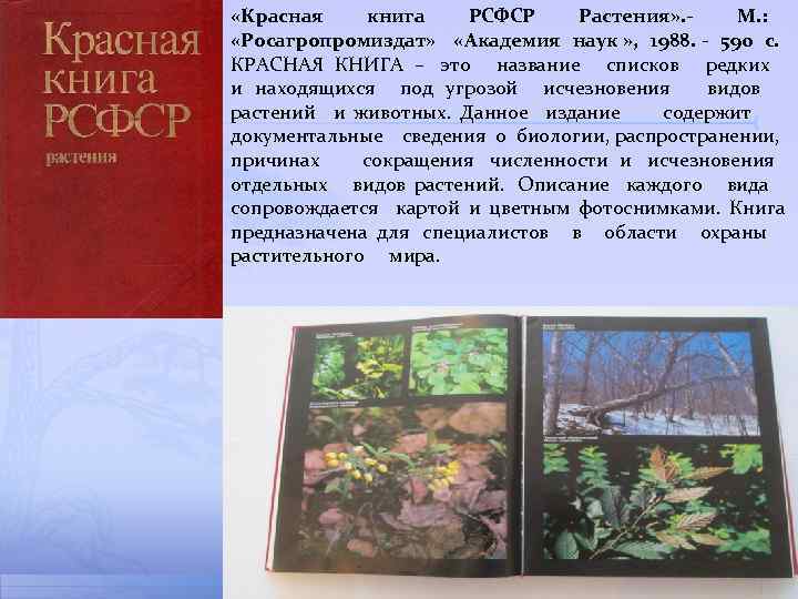  «Красная книга РСФСР Растения» . - М. : «Росагропромиздат» «Академия наук » ,
