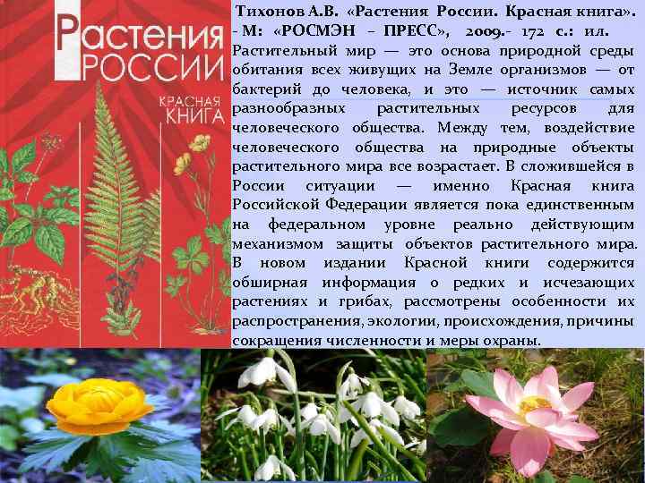 Тихонов А. В. «Растения России. Красная книга» . - М: «РОСМЭН – ПРЕСС»