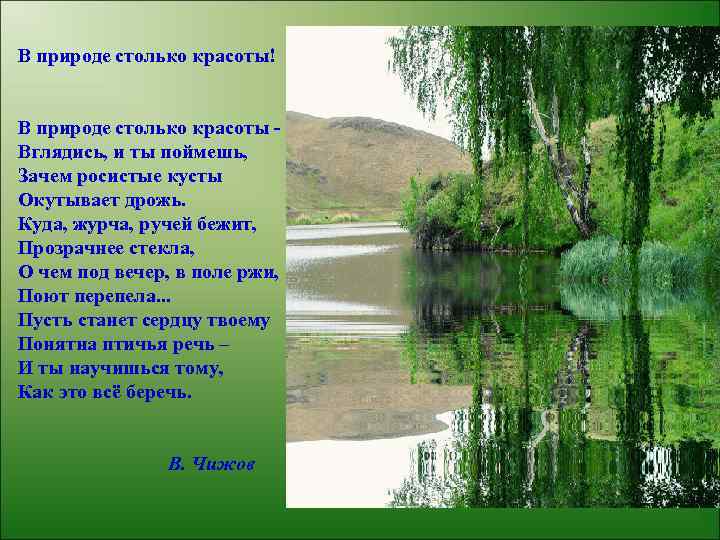 В природе столько красоты! В природе столько красоты Вглядись, и ты поймешь, Зачем росистые