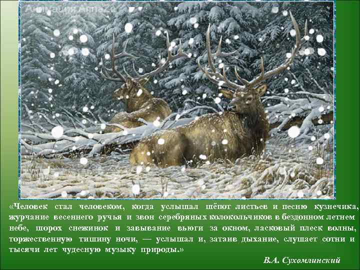  «Человек стал человеком, когда услышал шёпот листьев и песню кузнечика, журчание весеннего ручья