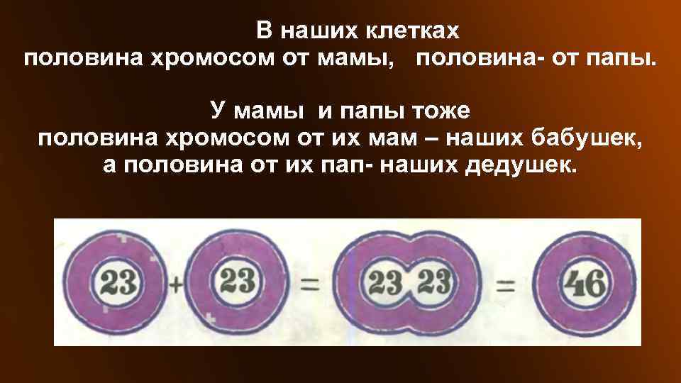 Пол от отца зависит. 23 Хромосомы от мамы и 23 от отца. Хромосомы от отца и матери. Половина хромосомы. Половина от отца.