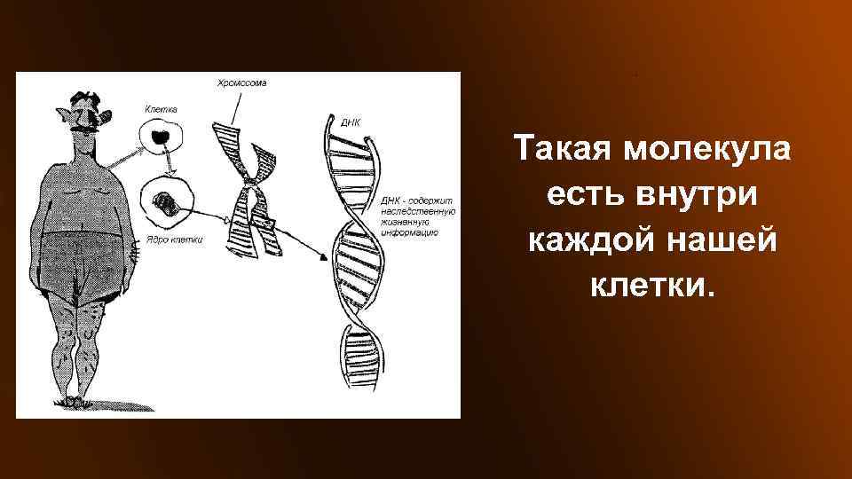 Внутри каждой