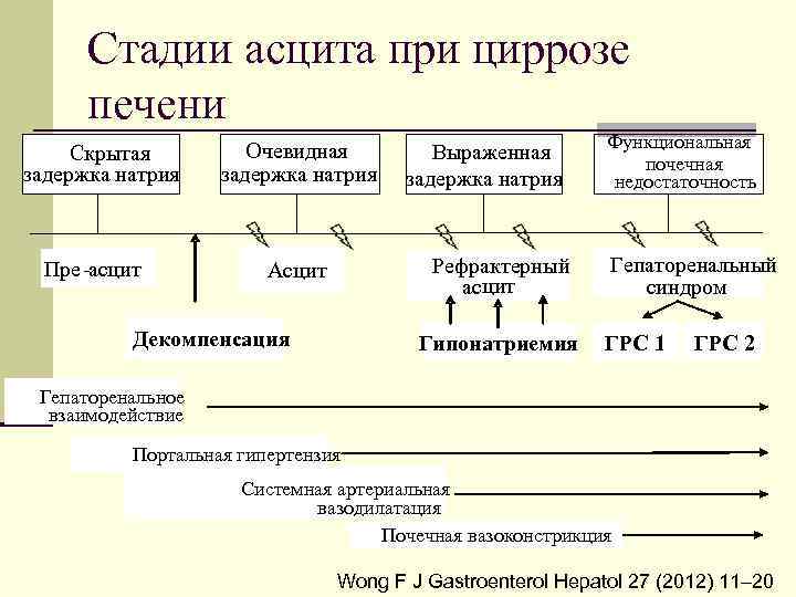 Стадии асцита при циррозе печени Скрытая задержка натрия Пре-асцит Очевидная задержка натрия Выраженная задержка