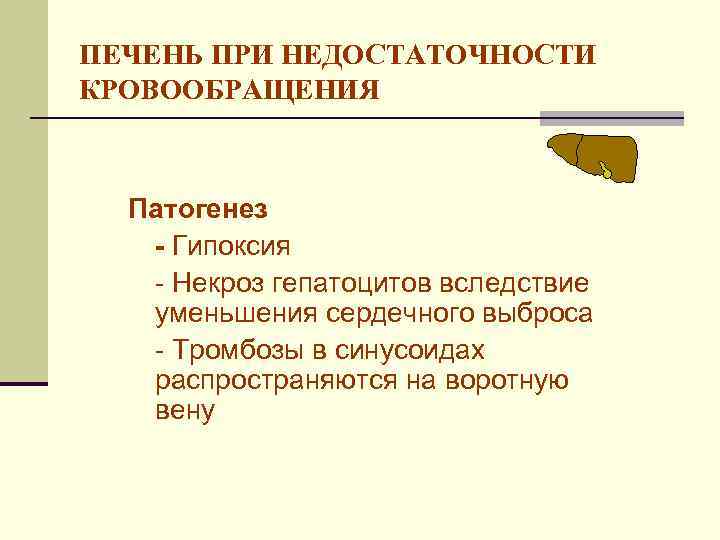 ПЕЧЕНЬ ПРИ НЕДОСТАТОЧНОСТИ КРОВООБРАЩЕНИЯ Патогенез - Гипоксия - Некроз гепатоцитов вследствие уменьшения сердечного выброса