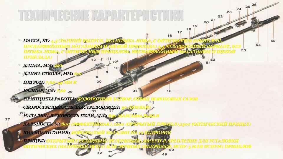 ТЕХНИЧЕСКИЕ ХАРАКТЕРИСТИКИ • • • МАССА, КГ: 4, 3 (РАННИЙ ВЫПУСК, БЕЗ ШТЫКА-НОЖА, С