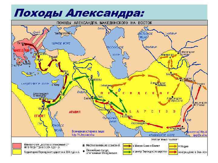 Походы Александра: 55 