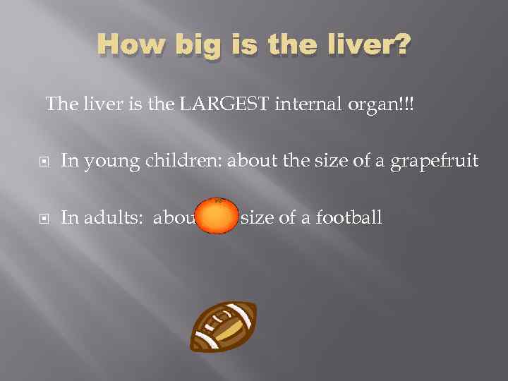 How big is the liver? The liver is the LARGEST internal organ!!! In young