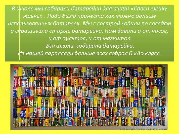 В школе мы собирали батарейки для акции «Спаси ежику жизнь» . Надо было принести