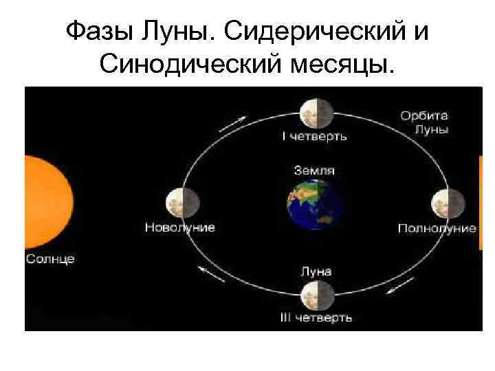 Вторая половина месяца. Фазы Луны синодический и сидерический месяцы. Фазы Луны в синодический месяц. Сидерический лунный месяц это. Сидерический период обращения Луны.