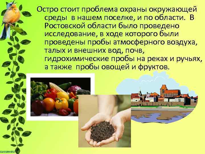 Остро стоит проблема охраны окружающей среды в нашем поселке, и по области. В Ростовской