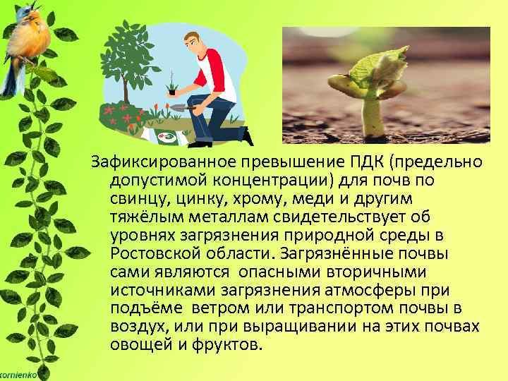 Зафиксированное превышение ПДК (предельно допустимой концентрации) для почв по свинцу, цинку, хрому, меди и