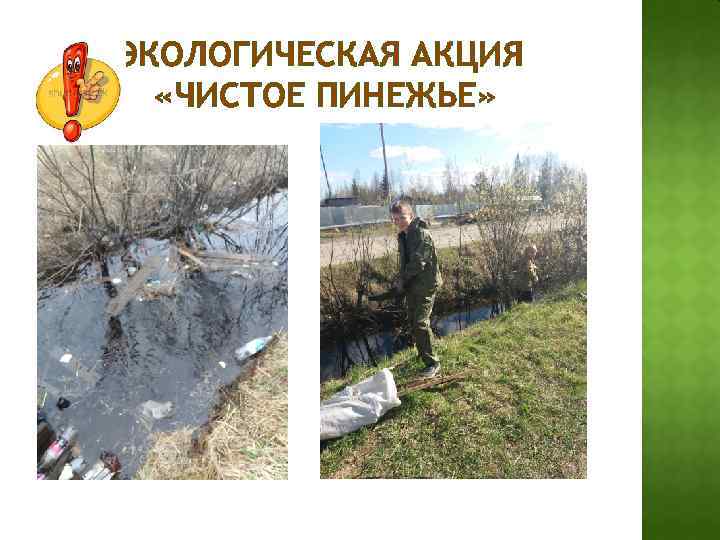 ЭКОЛОГИЧЕСКАЯ АКЦИЯ «ЧИСТОЕ ПИНЕЖЬЕ» 