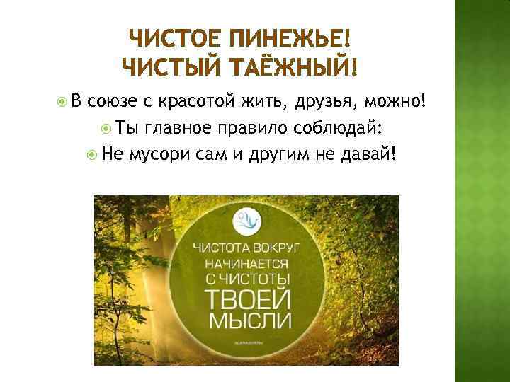 ЧИСТОЕ ПИНЕЖЬЕ! ЧИСТЫЙ ТАЁЖНЫЙ! В союзе с красотой жить, друзья, можно! Ты главное правило