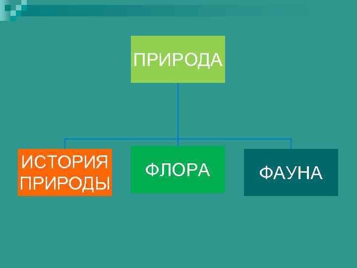 ПРИРОДА ИСТОРИЯ ПРИРОДЫ ФЛОРА ФАУНА 