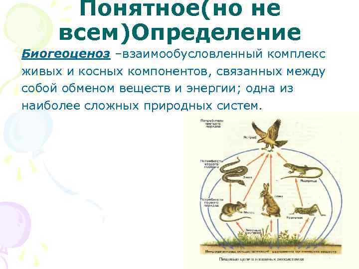 Многообразие биогеоценозов презентация