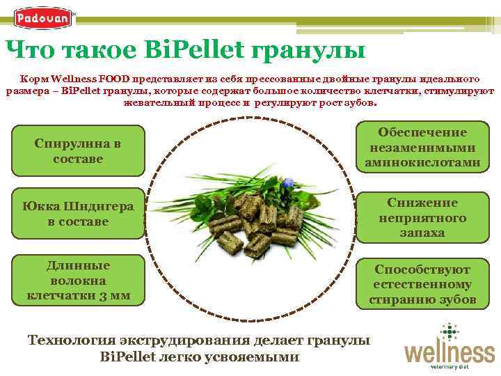 Что такое Bi. Pellet гранулы Корм Wellness FOOD представляет из себя прессованные двойные гранулы