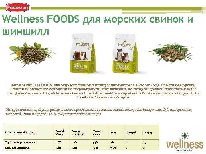 Wellness FOODS для морских свинок и шиншилл Корм Wellness FOODS для морских свинок обогащен