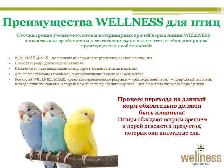 Преимущества WELLNESS для птиц С точки зрения ученых-этологов и ветеринарных врачей корма линии WELLNESS