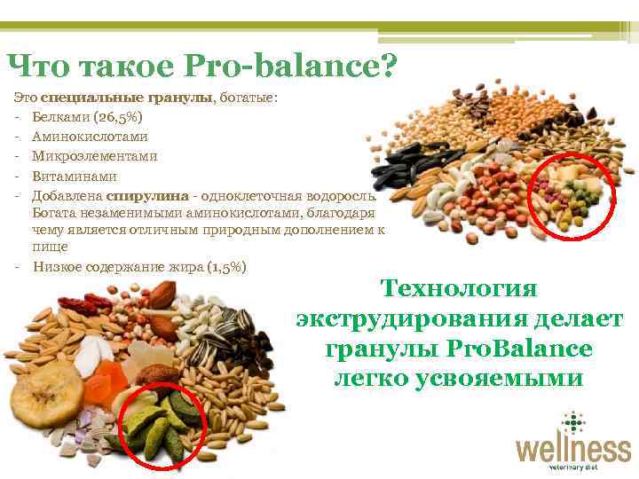 Что такое Pro-balance? Это специальные гранулы, богатые: - Белками (26, 5%) - Аминокислотами -