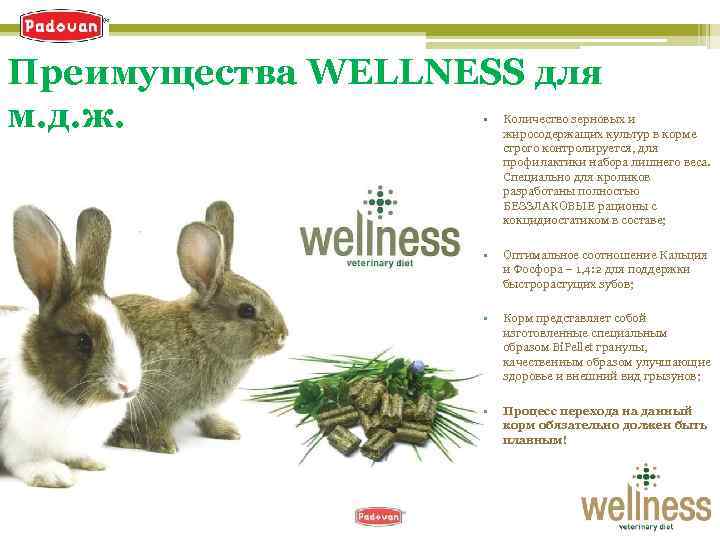 Преимущества WELLNESS для м. д. ж. • Количество зерновых и жиросодержащих культур в корме