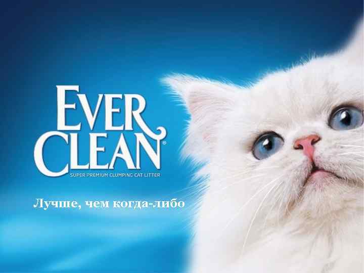 Лучше, чем когда-либо 