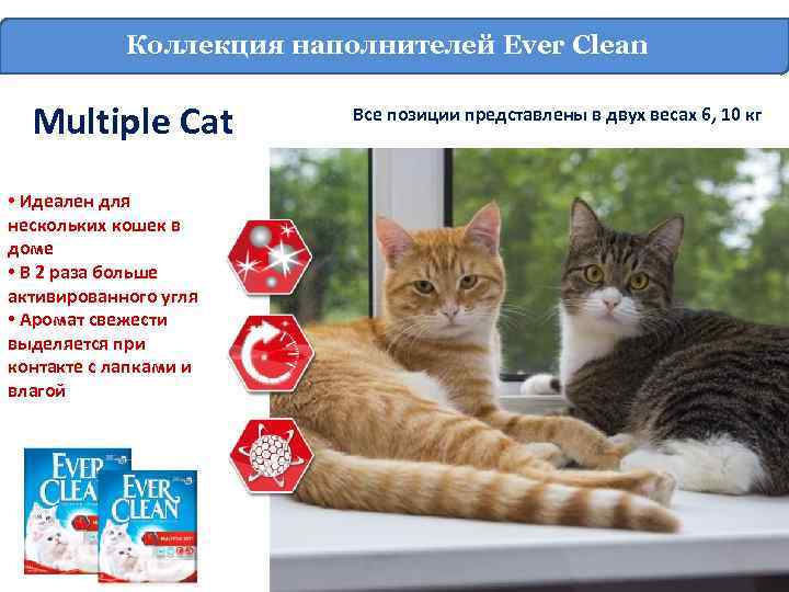 Коллекция наполнителей Ever Clean Multiple Cat • Идеален для нескольких кошек в доме •