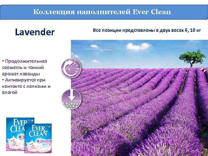 Коллекция наполнителей Ever Clean Lavender • Продолжительная свежесть и тонкий аромат лаванды • Активируетсябольше