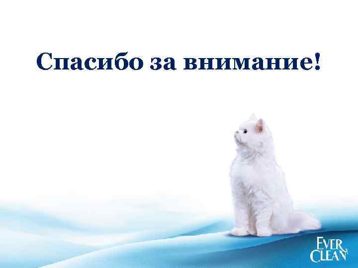 Преимущества нового Ever Clean для потребителя Спасибо за внимание! 