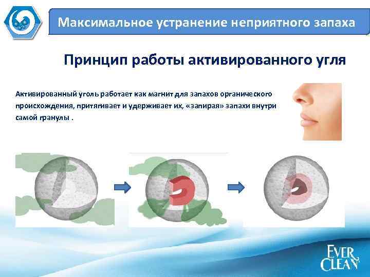 Максимальное устранение неприятного запаха Принцип работы активированного угля Активированный уголь работает как магнит для