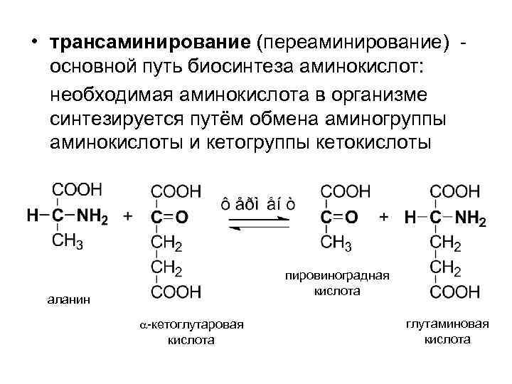  • трансаминирование (переаминирование) основной путь биосинтеза аминокислот: необходимая аминокислота в организме синтезируется путём