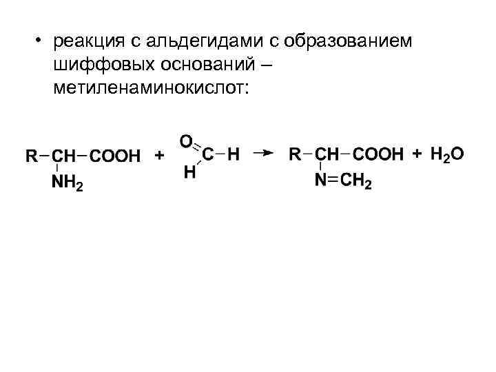  • реакция с альдегидами с образованием шиффовых оснований – метиленаминокислот: 