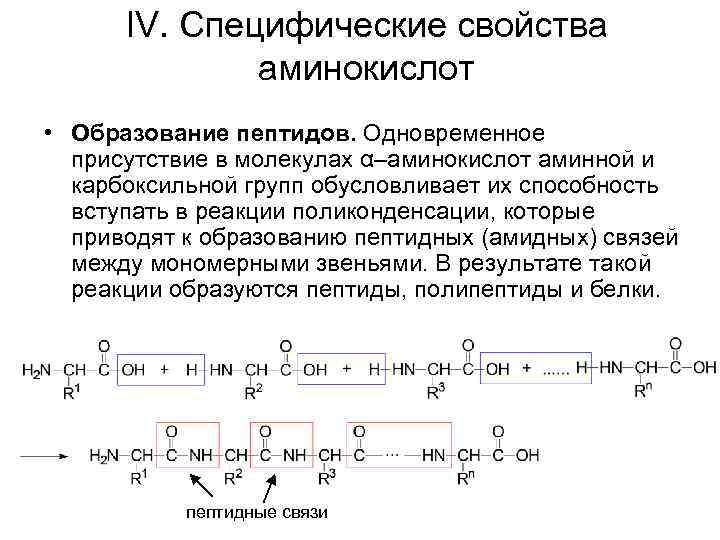 IV. Специфические свойства аминокислот • Образование пептидов. Одновременное присутствие в молекулах α–аминокислот аминной и