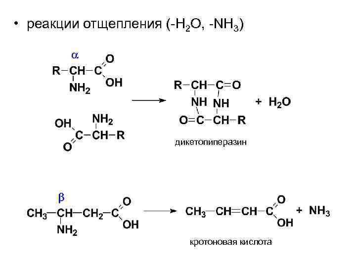  • реакции отщепления (-H 2 O, -NH 3) дикетопиперазин кротоновая кислота 