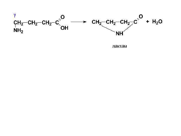 лактам 