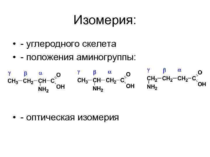 Изомерия: • - углеродного скелета • - положения аминогруппы: • - оптическая изомерия 