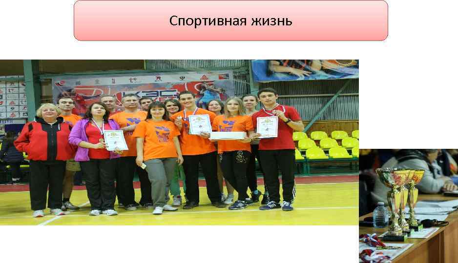 Спортивная жизнь 